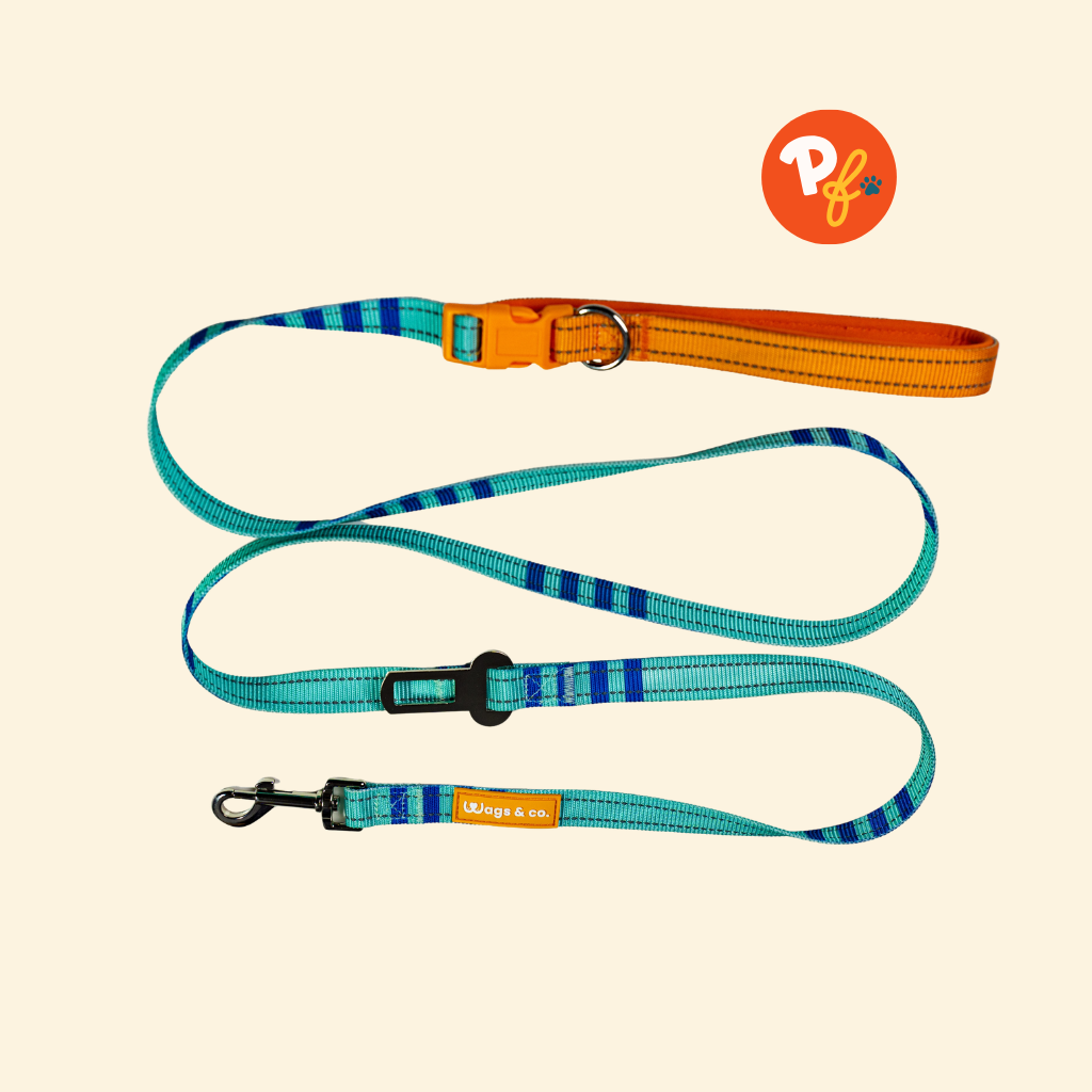 Wags & Co. - Easy Shift Leash