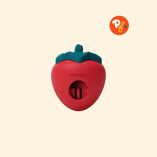Vetreska - Strawberry Pet Treat Dispensing Toy