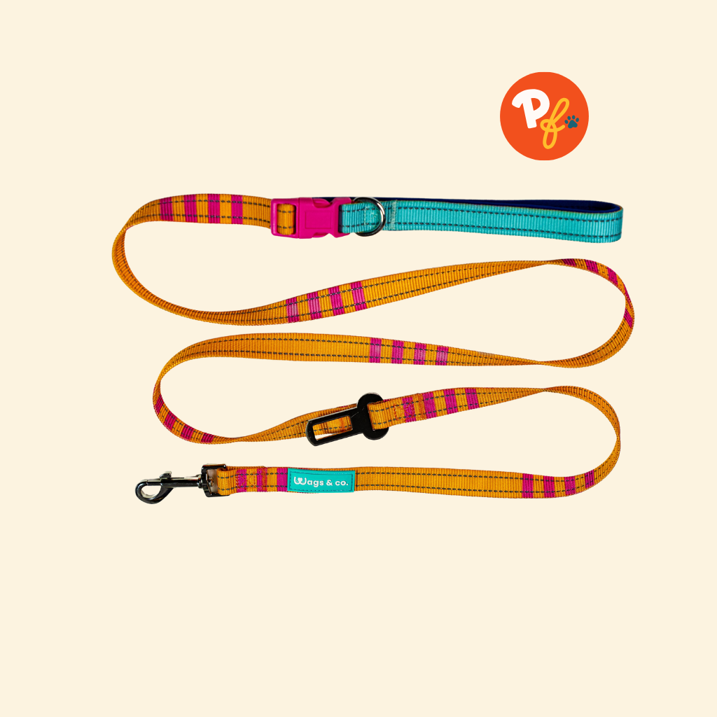 Wags & Co. - Easy Shift Leash