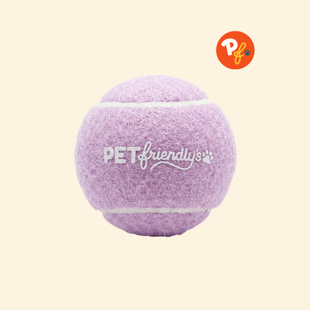 Pet Friendly's - Squeaky Ball