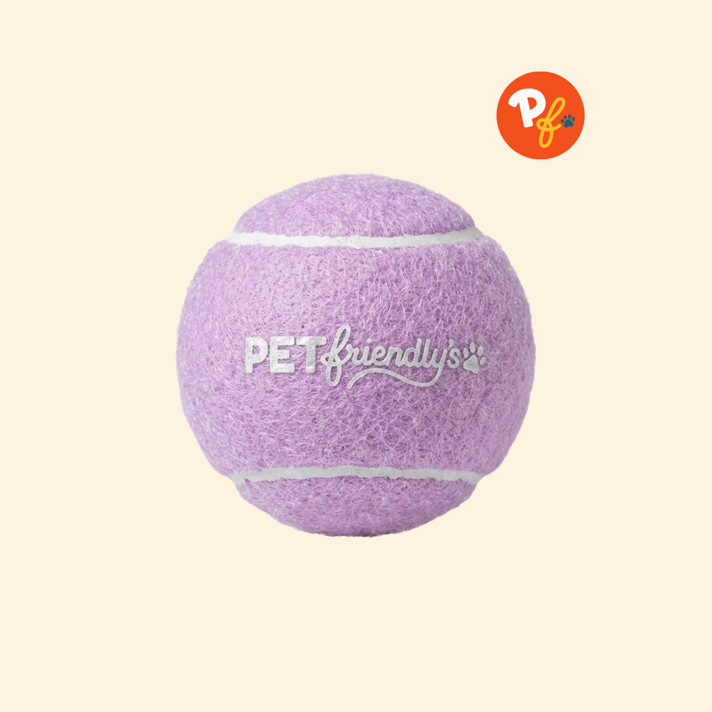 Pet Friendly's - Squeaky Ball