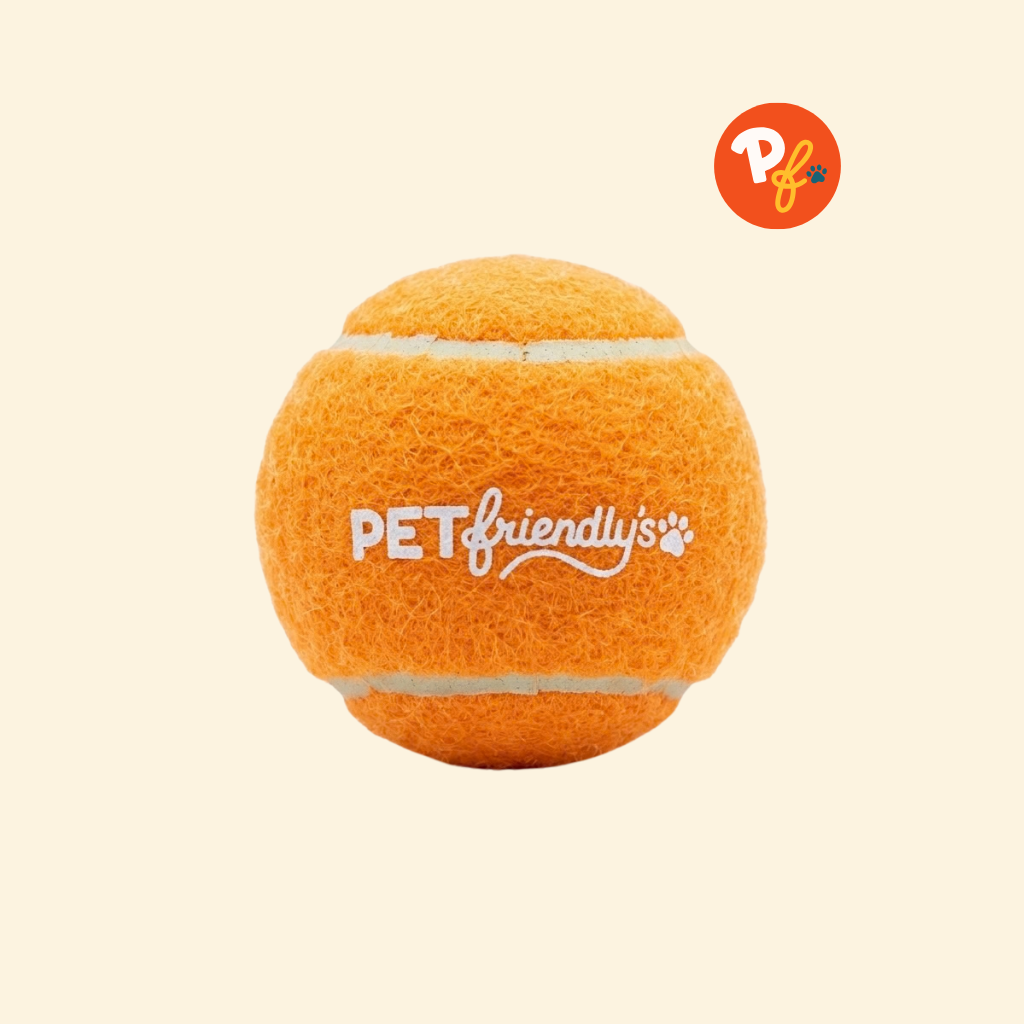 Pet Friendly's - Squeaky Ball