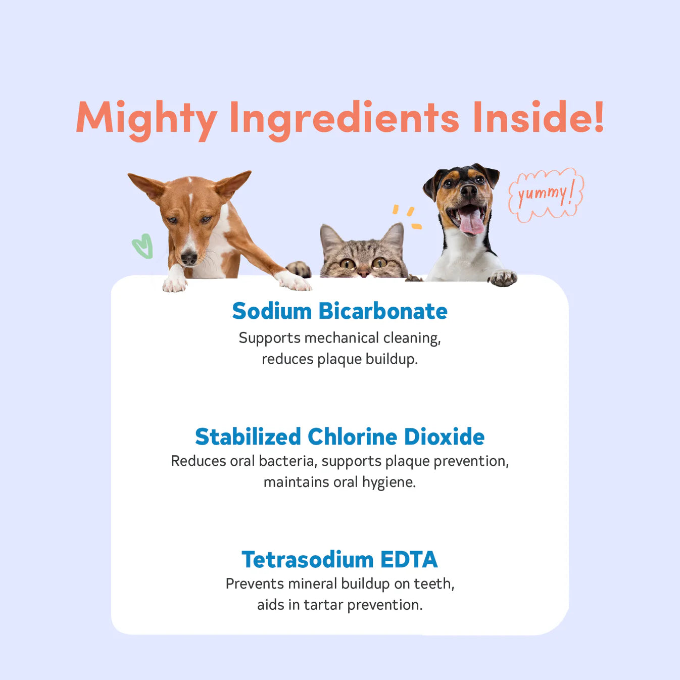 Floof Pets - Dental Drops Water Additive 250ml