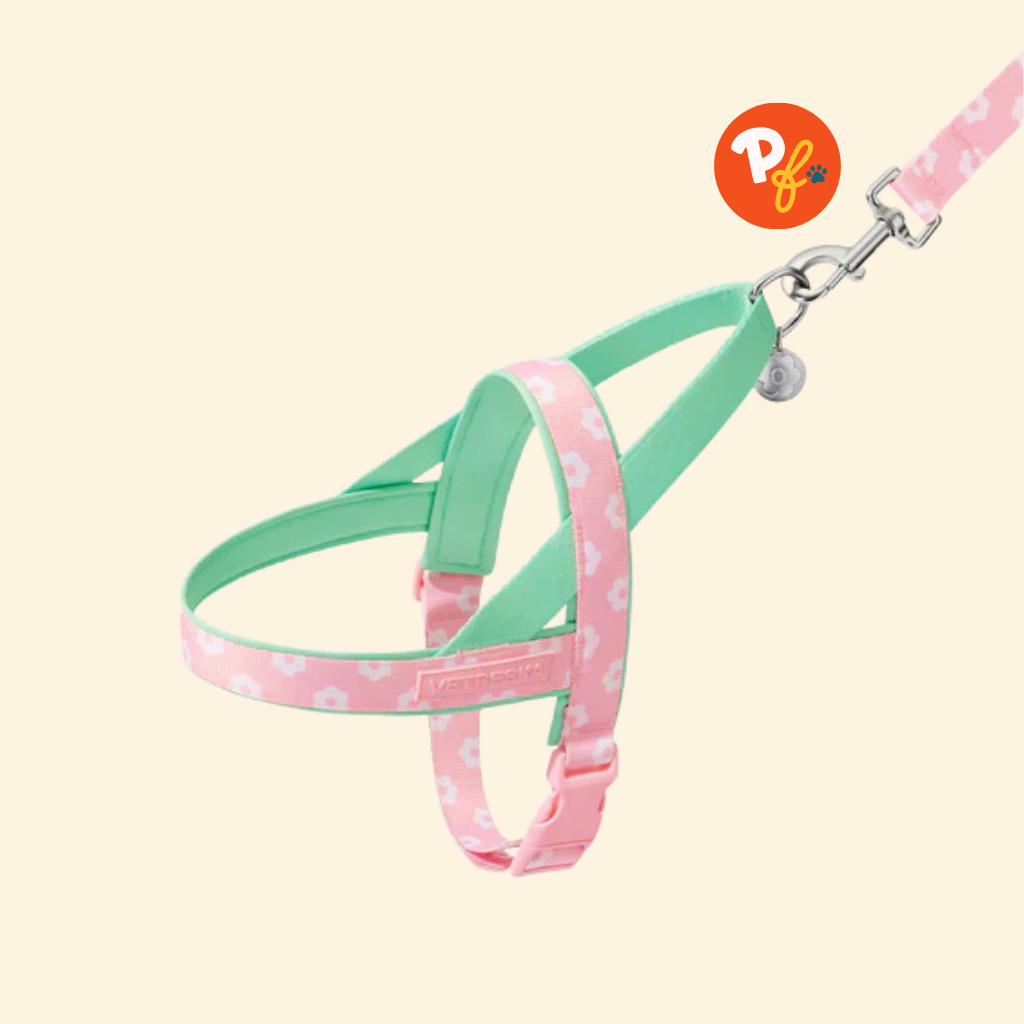 Vetreska - Flora Harness and Leash