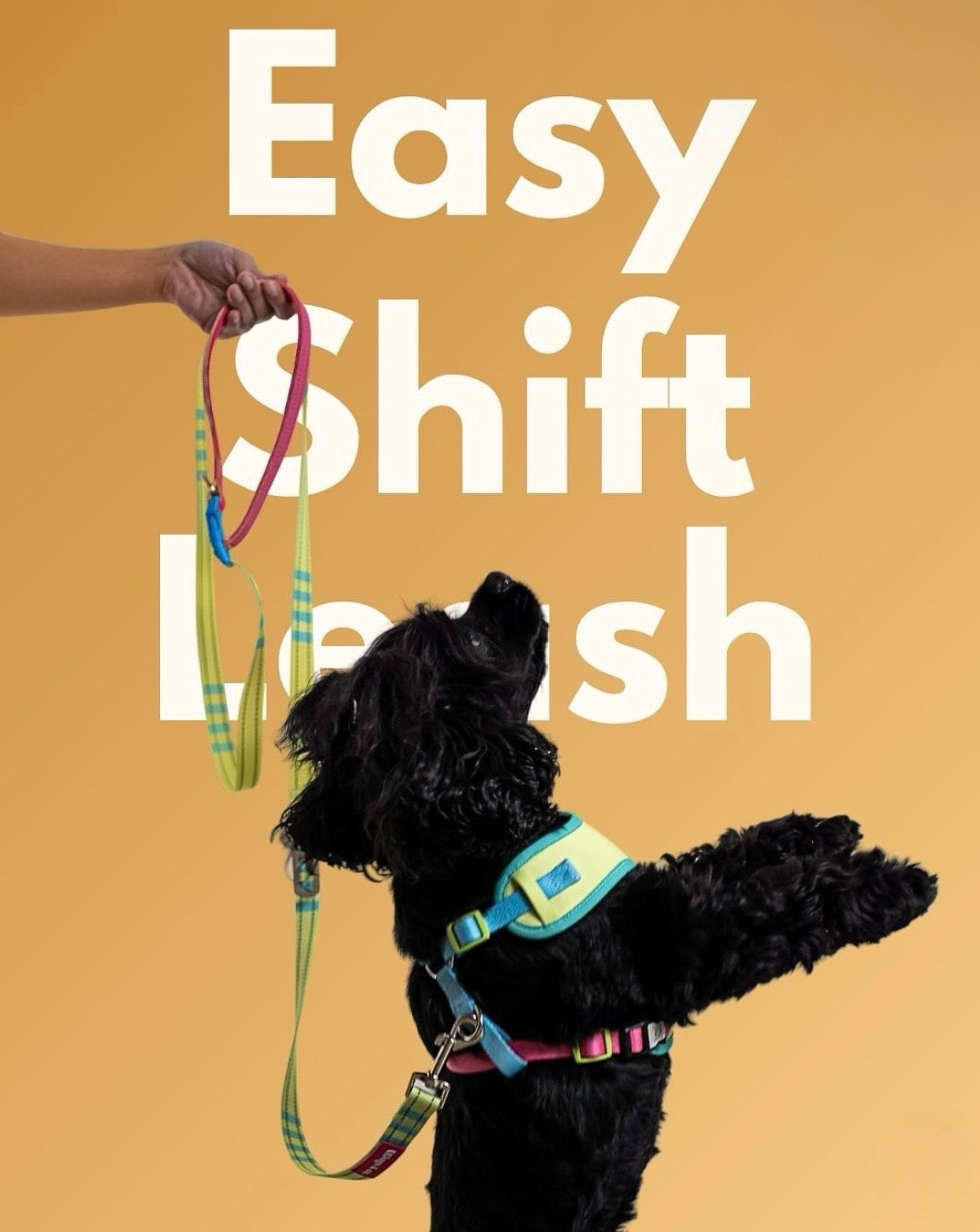 Wags & Co - The Smart Set (Cloud Tag Harness + Easy Shift Leash)