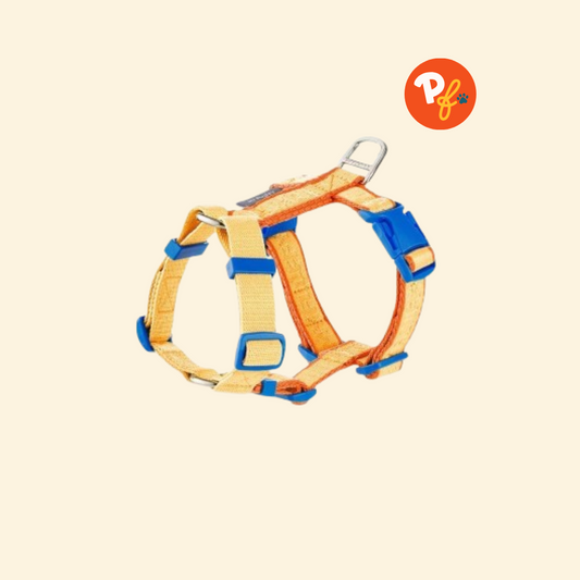 My Fluffy - Fit Band Harness (Yellow Orange)