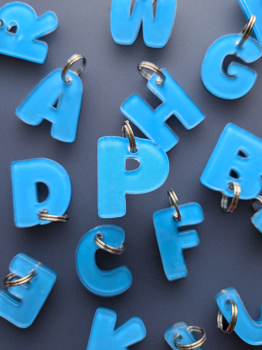 Customizable Pet Necklace