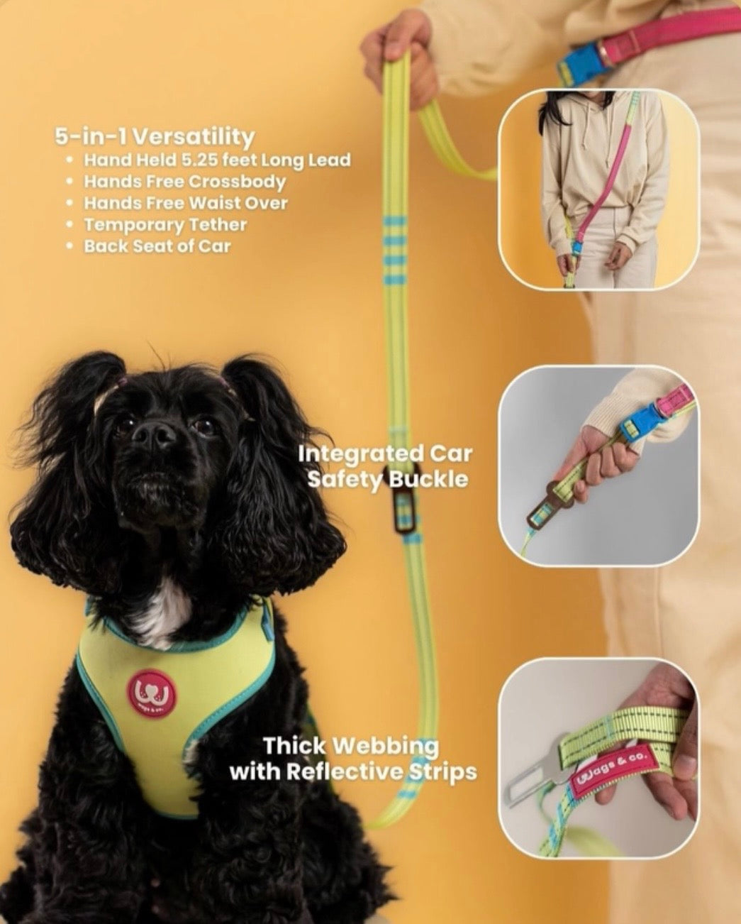 Wags & Co - The Smart Set (Cloud Tag Harness + Easy Shift Leash)