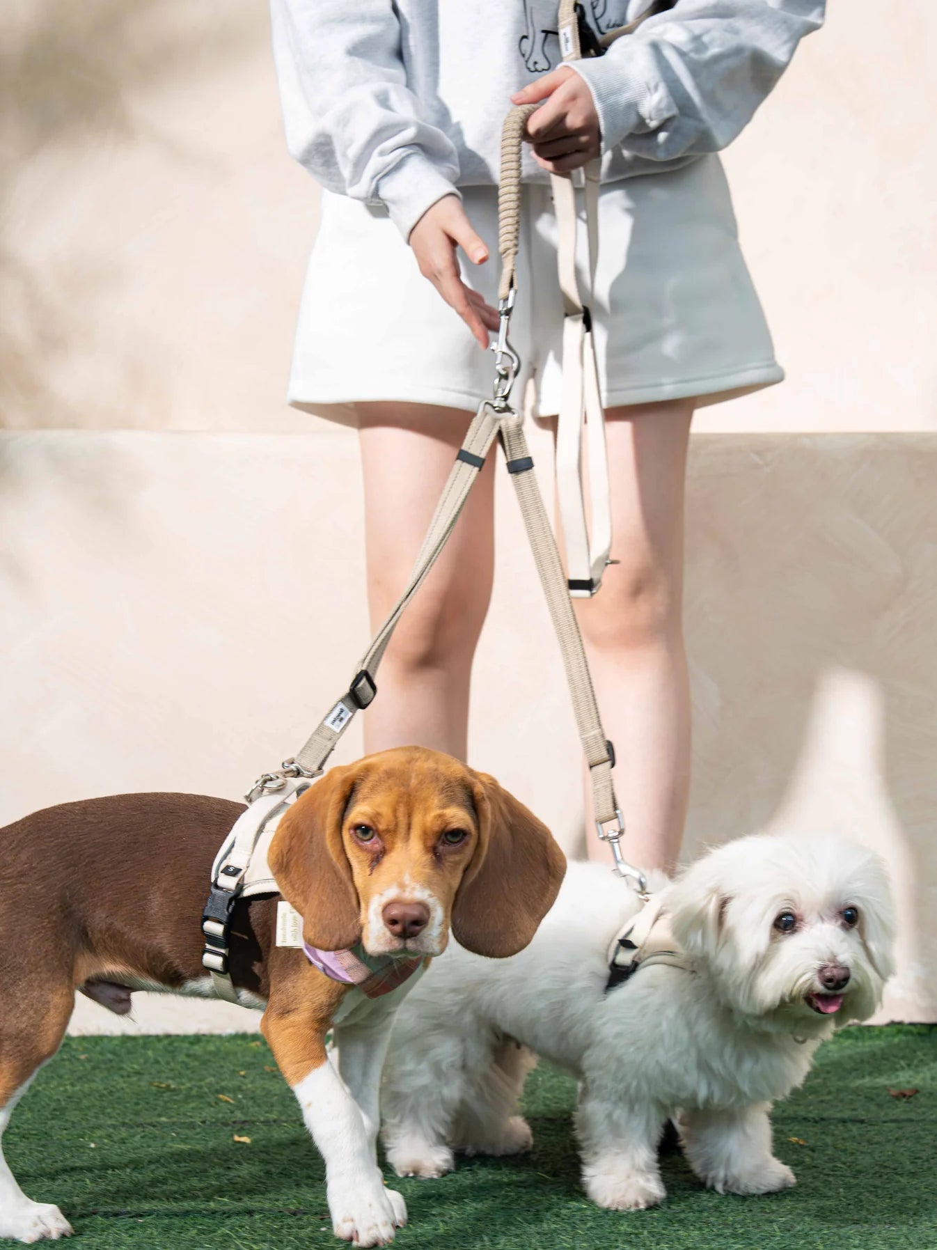 The GoodPal - Wear It Waist & Crossbody Multi-Way Leash