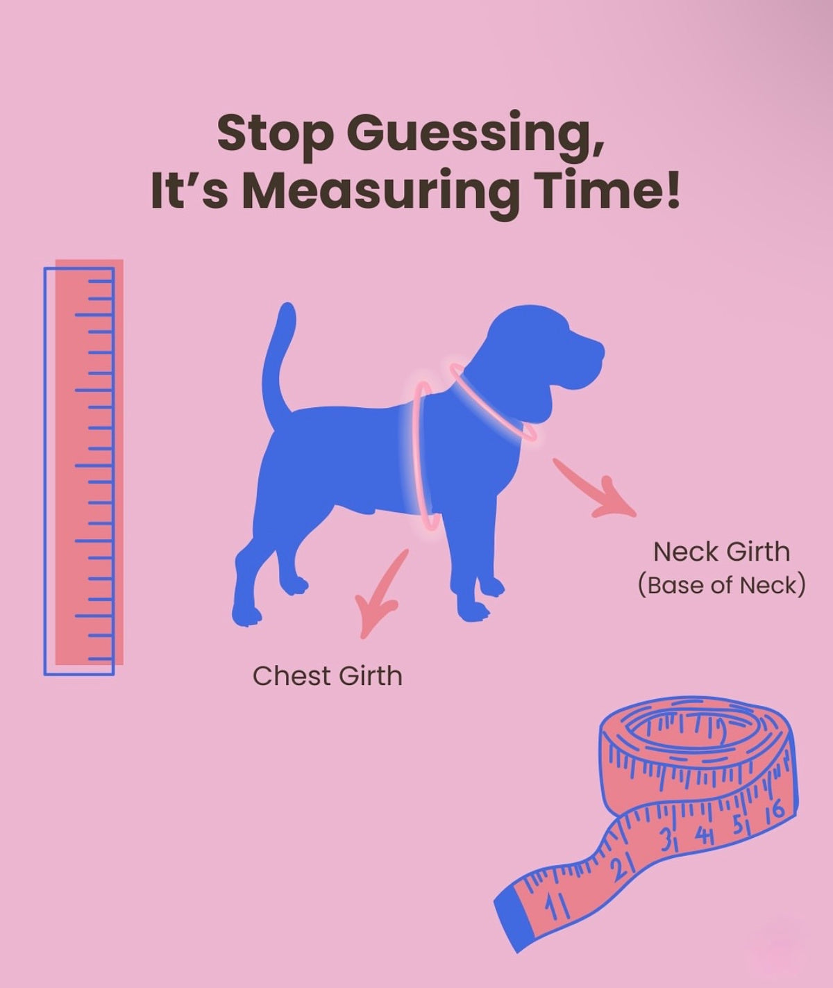 Wags & Co - The Smart Set (Cloud Tag Harness + Easy Shift Leash)