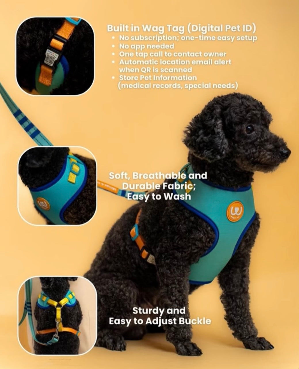 Wags & Co - The Smart Set (Cloud Tag Harness + Easy Shift Leash)
