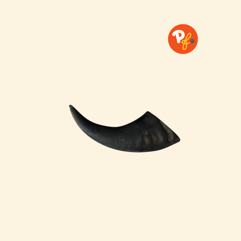 Pet Friendly s PH Best Online Pet Store pet-friendly-s-ph-best-online-pet-store