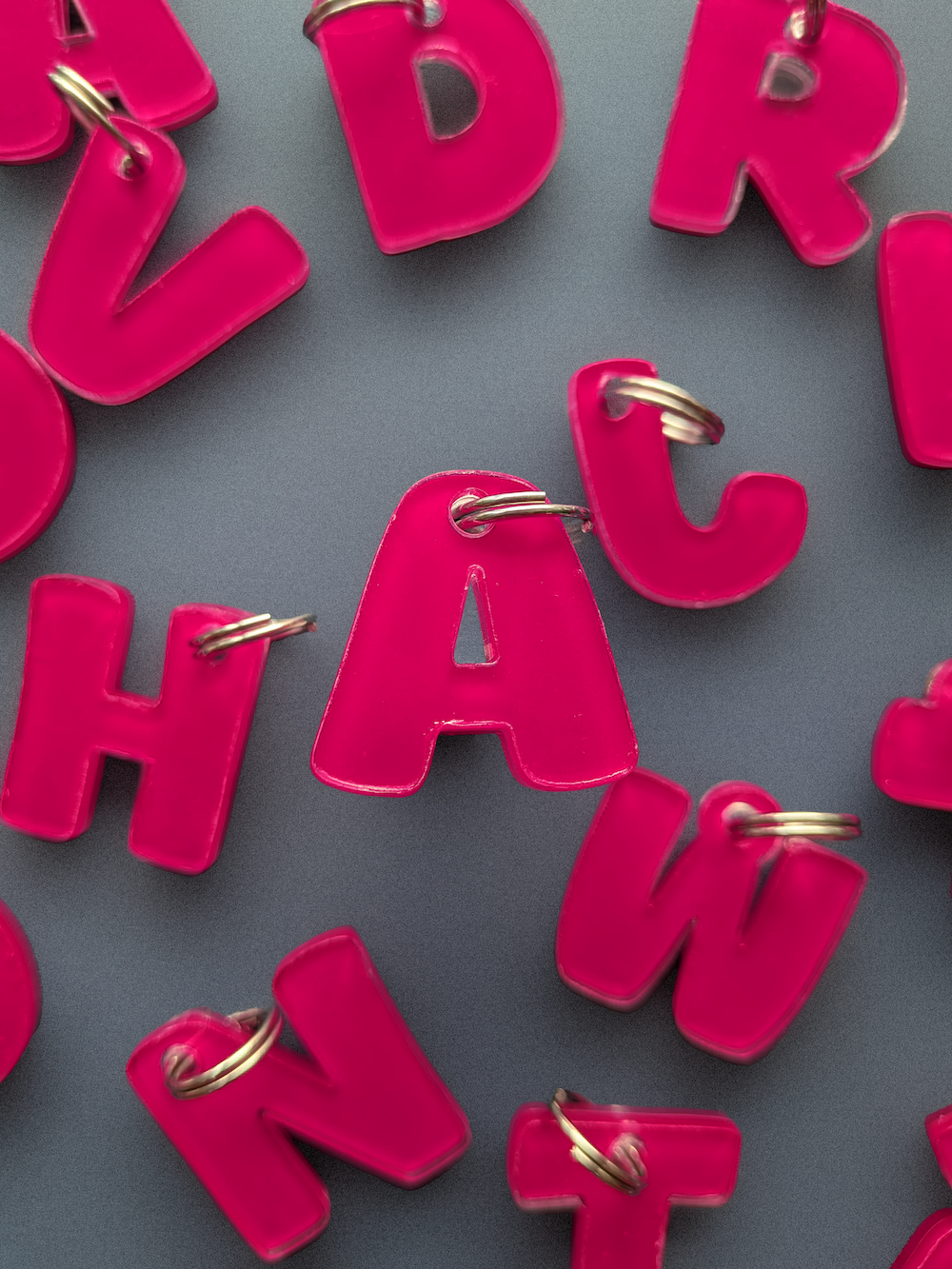 Customizable Pet Necklace