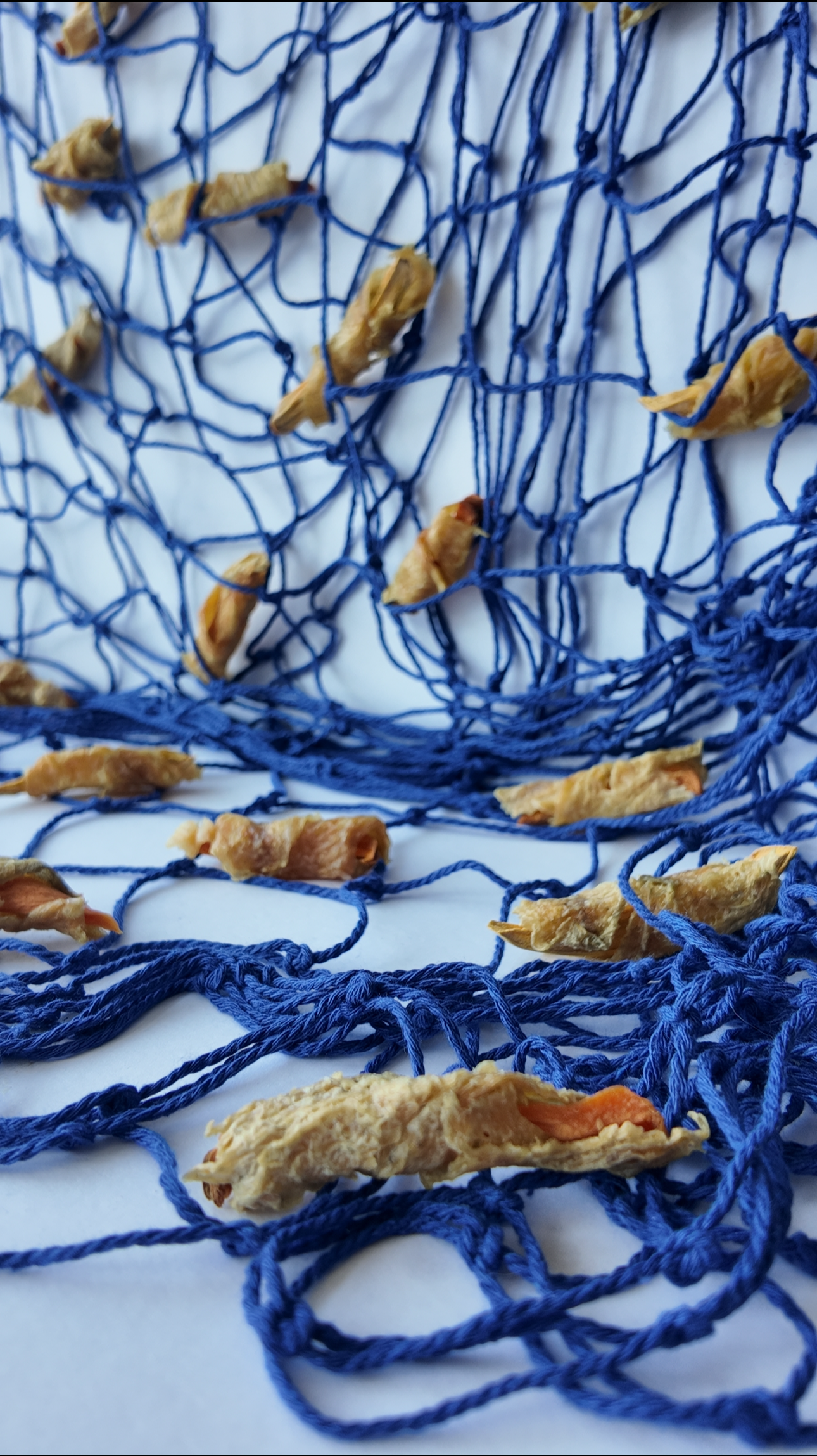 Friendly Nom’s – Tilapia Fish & Chips