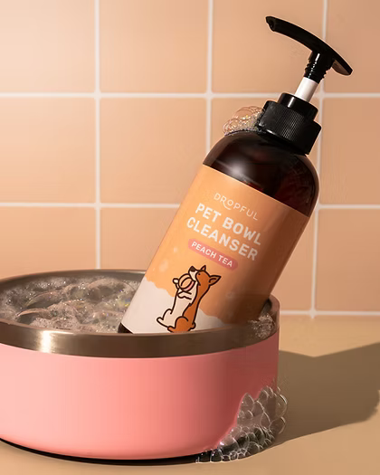 Dropful Pet Bowl Cleanser in Peach Tea