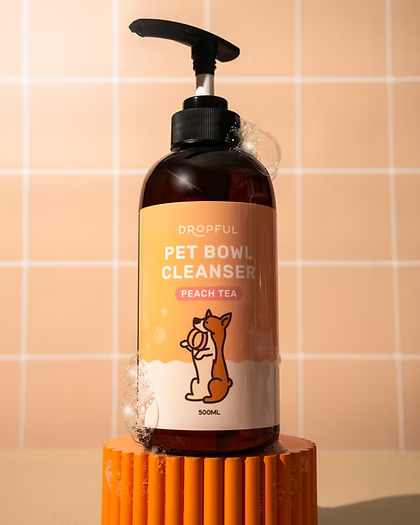 Dropful Pet Bowl Cleanser in Peach Tea