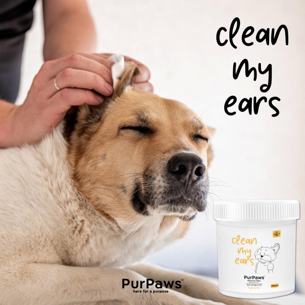 Purpaws Clean My Eyes - Pet Friendly's PH