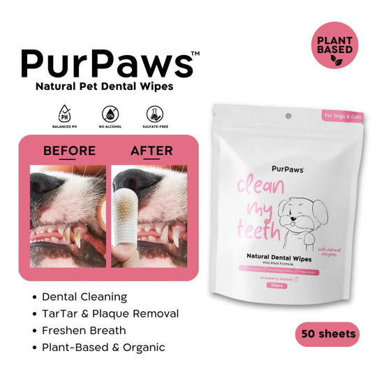 Buy Care Products for Dogs Online Pet Friendly's PH Page 2