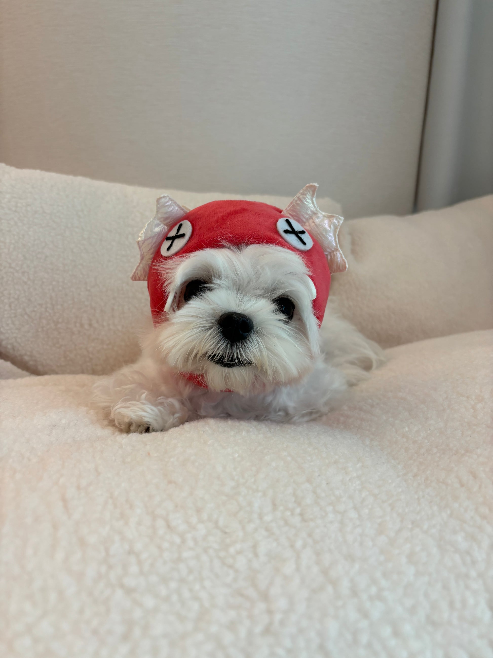 Unleash whimsy with Mewoo's Red Fish Fluffy Pet Headgear – the perfect pet costume for playful moments. Explore our collection of pet clothes, featuring this adorable pet hat. Elevate your furry friend's style with Mewoo's premium pet accessories, ensuring a delightful and cute costume experience.