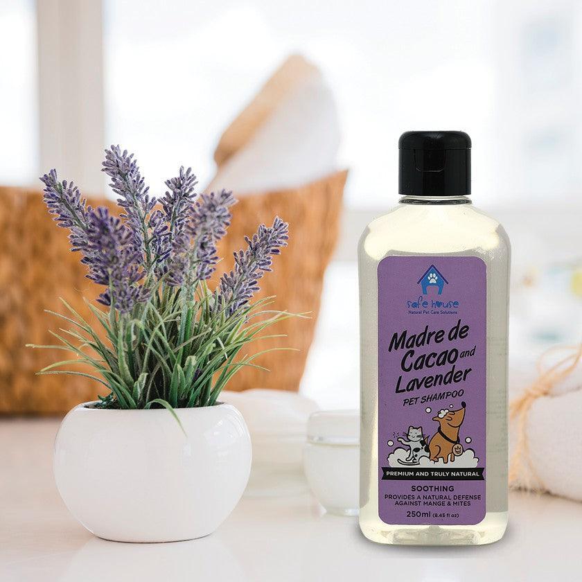 Safe House Madre de Cacao and Lavender Shampoo