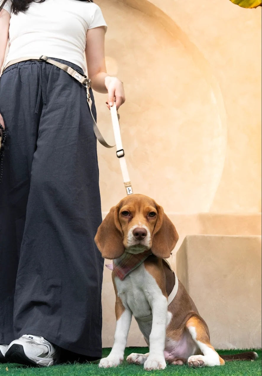 The GoodPal - Multi-way Hands-Free Leash