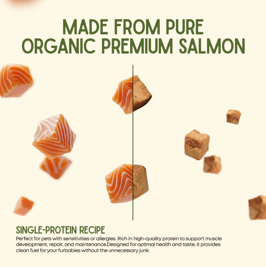 Luscious - Freeze Dried Salmon