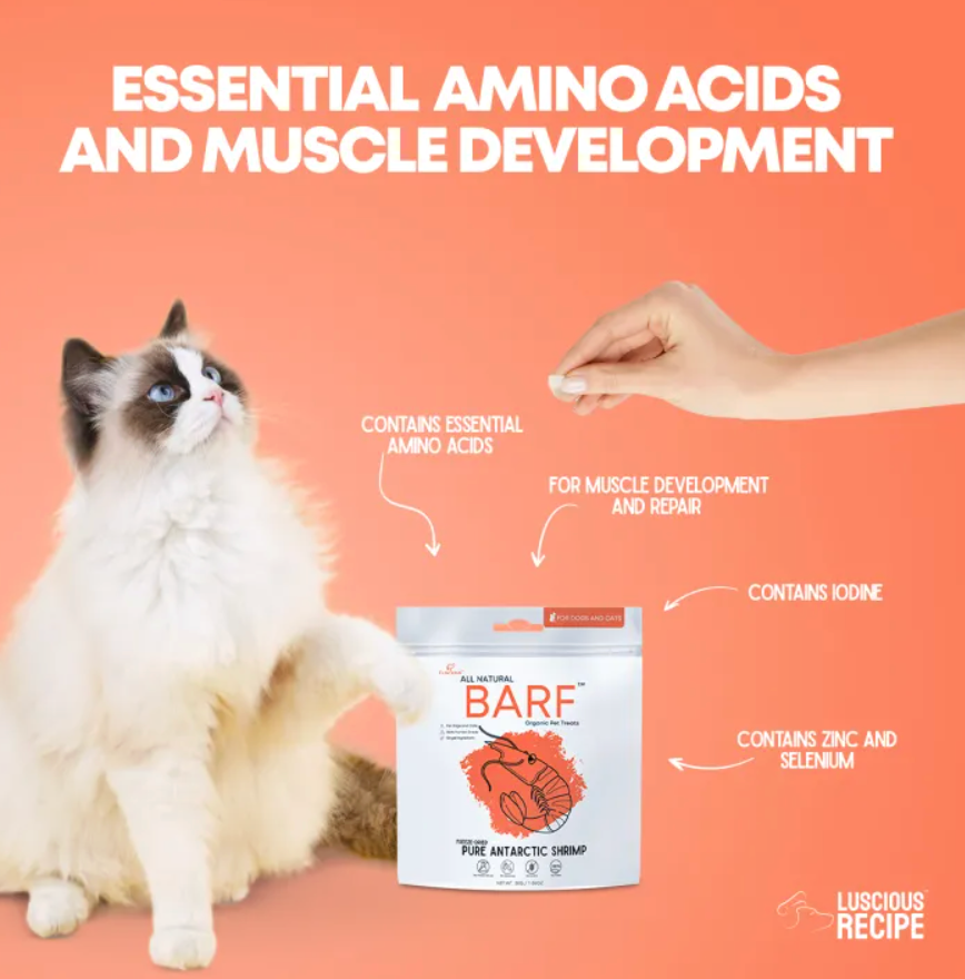 Luscious - Freeze Dried Antarctic Shrimp