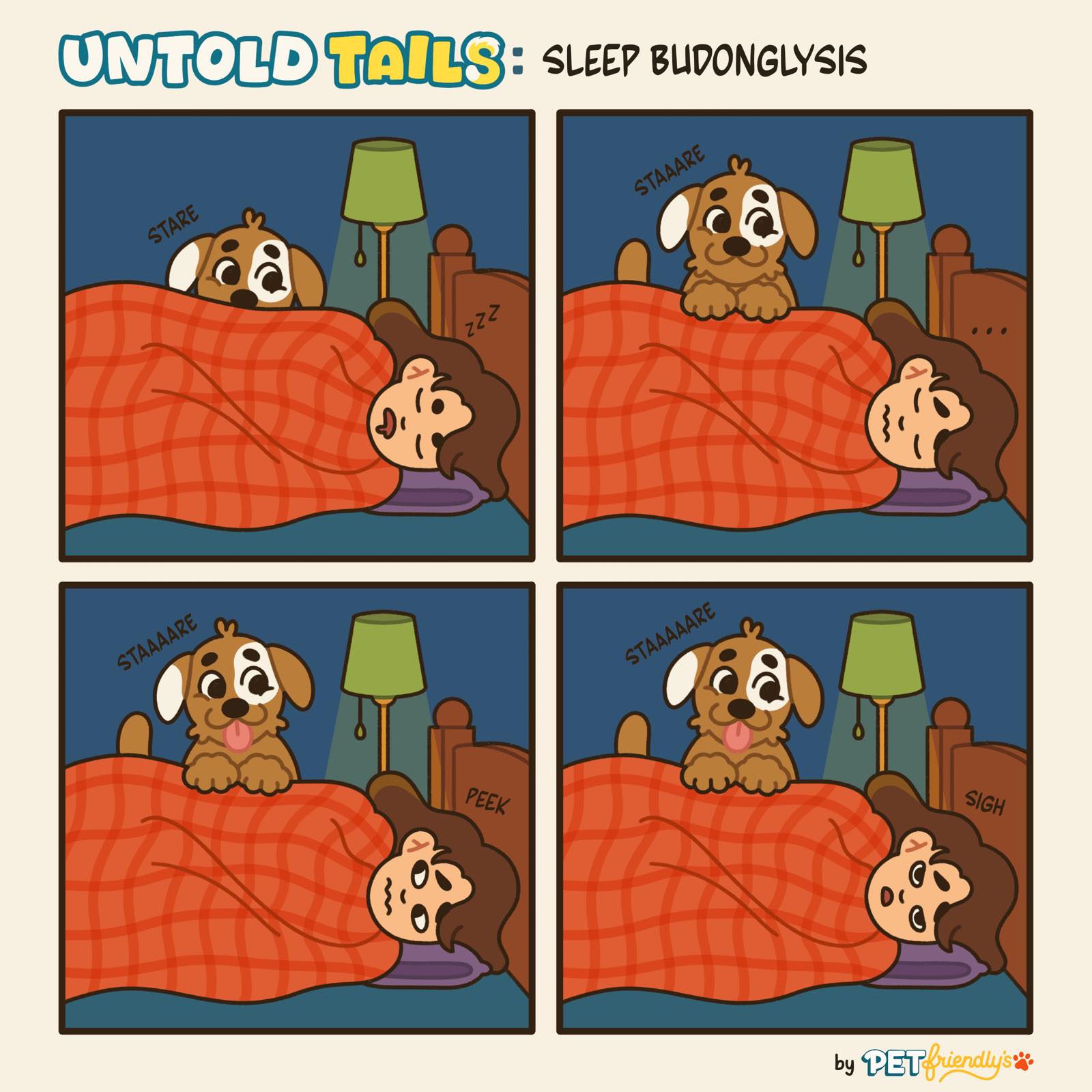 Untold_Tails_Sleep_Budonglysis