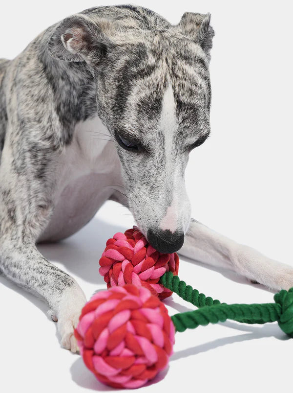 VETRESKA Cherry Knot Rope Toy