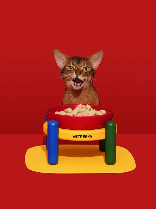 VETRESKA Chroma Pet Bowl and Mat Set