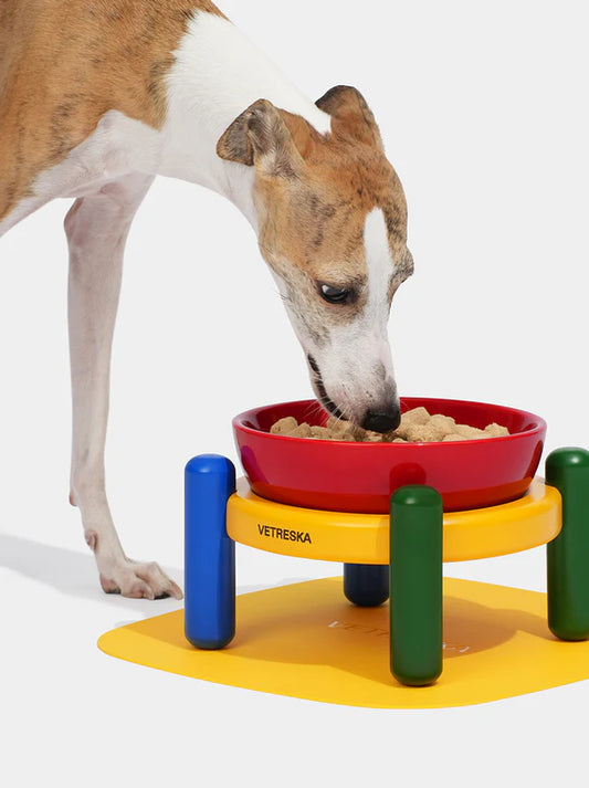 VETRESKA Chroma Pet Bowl and Mat Set
