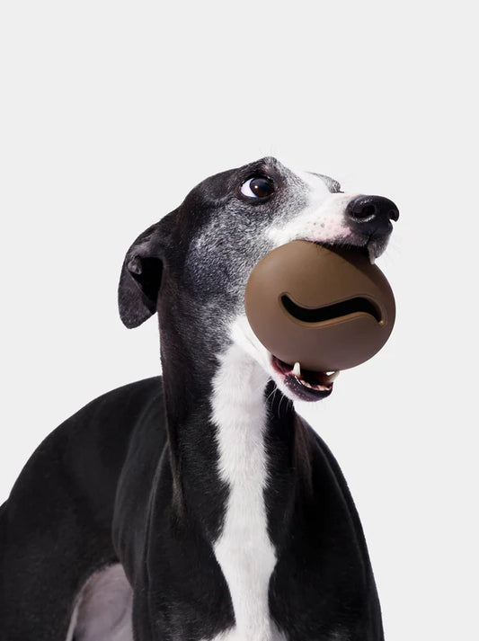 VETRESKA Coffee Pet Feeder Toy