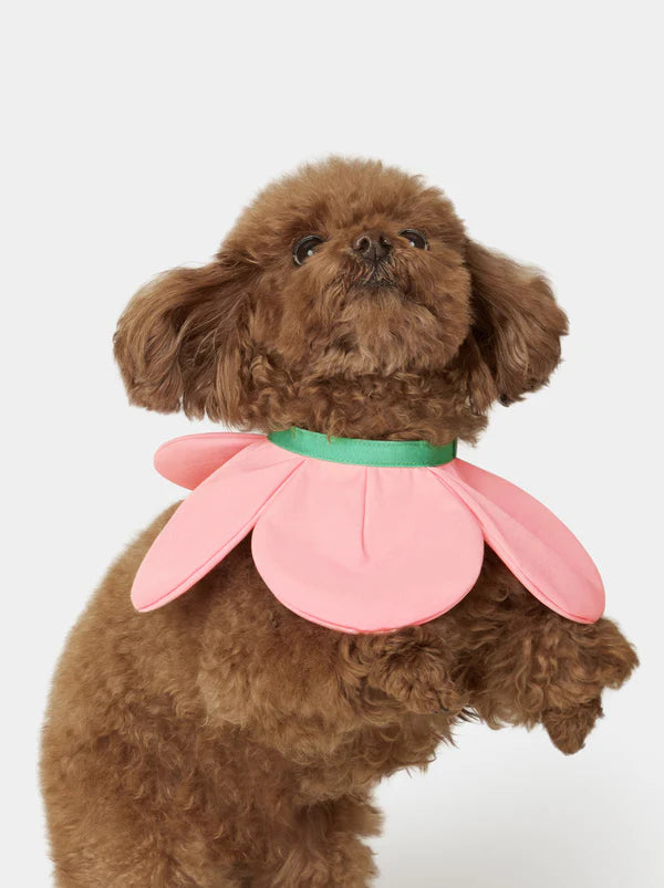 VETRESKA Flora Pet Bib