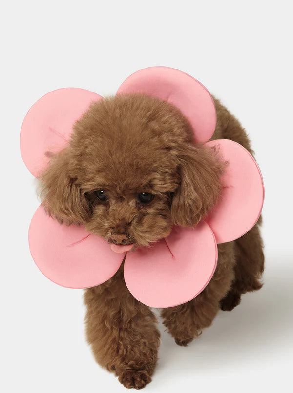 VETRESKA Flora Pet Bib