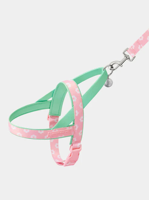 Vetreska Flora Harness and Leash