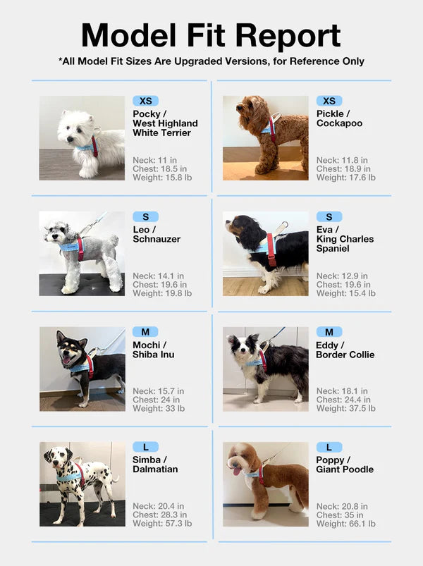 Vetreska - Mist & Merlot Walkset