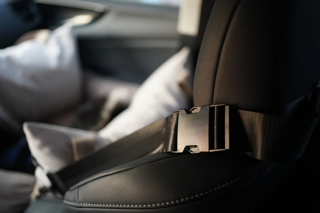 The GoodPal - Pawssenger CarSeat