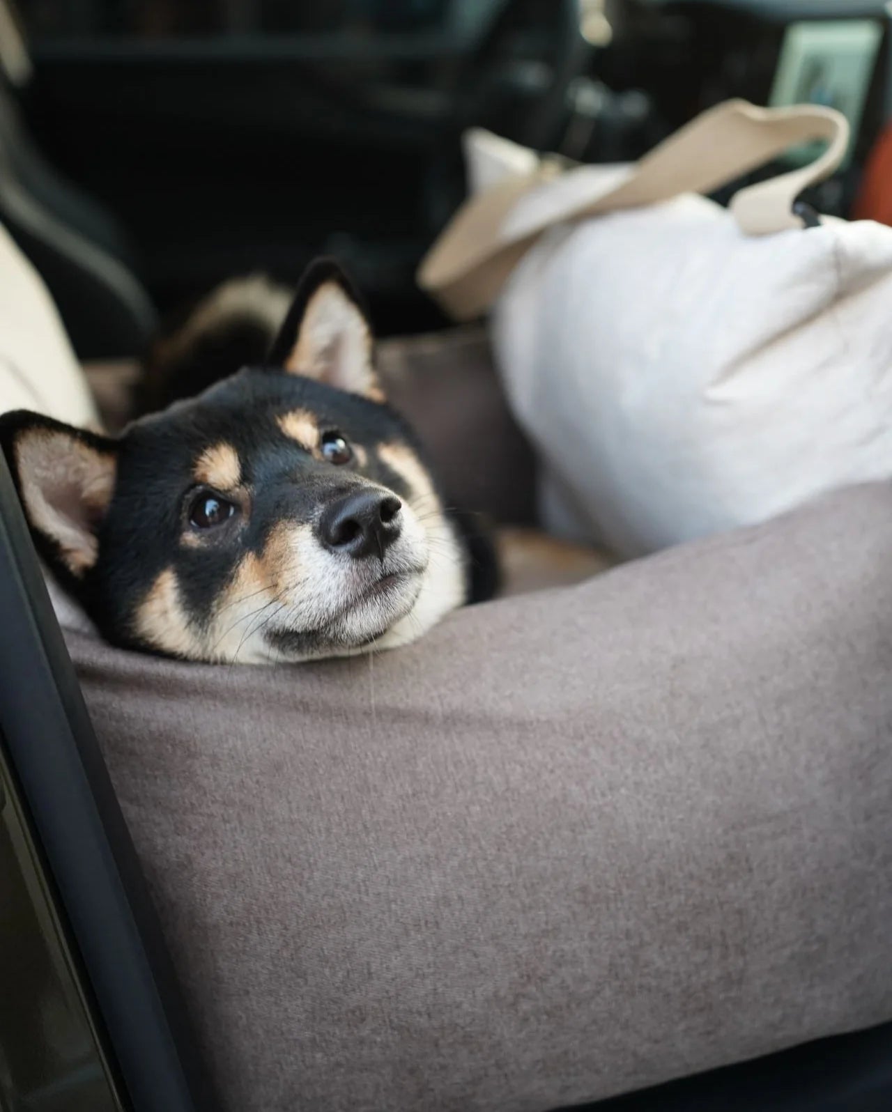 The GoodPal - Pawssenger CarSeat