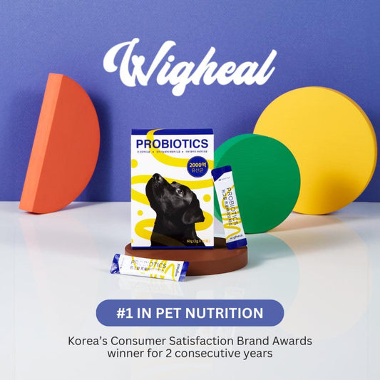 Optimize your pet's gut health with Wigheal Probiotics, a premium Natural Pet Probiotic. Tailored for dogs and cats, this Natural Dog Probiotic and Natural Cat Probiotic supports digestion and overall well-being. Choose Wigheal for a naturally balanced and happy companion!