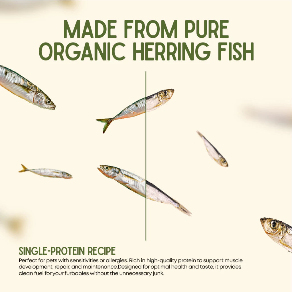 Luscious - Freeze Dried Herring Fish