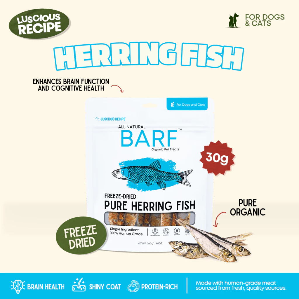 Luscious - Freeze Dried Herring Fish