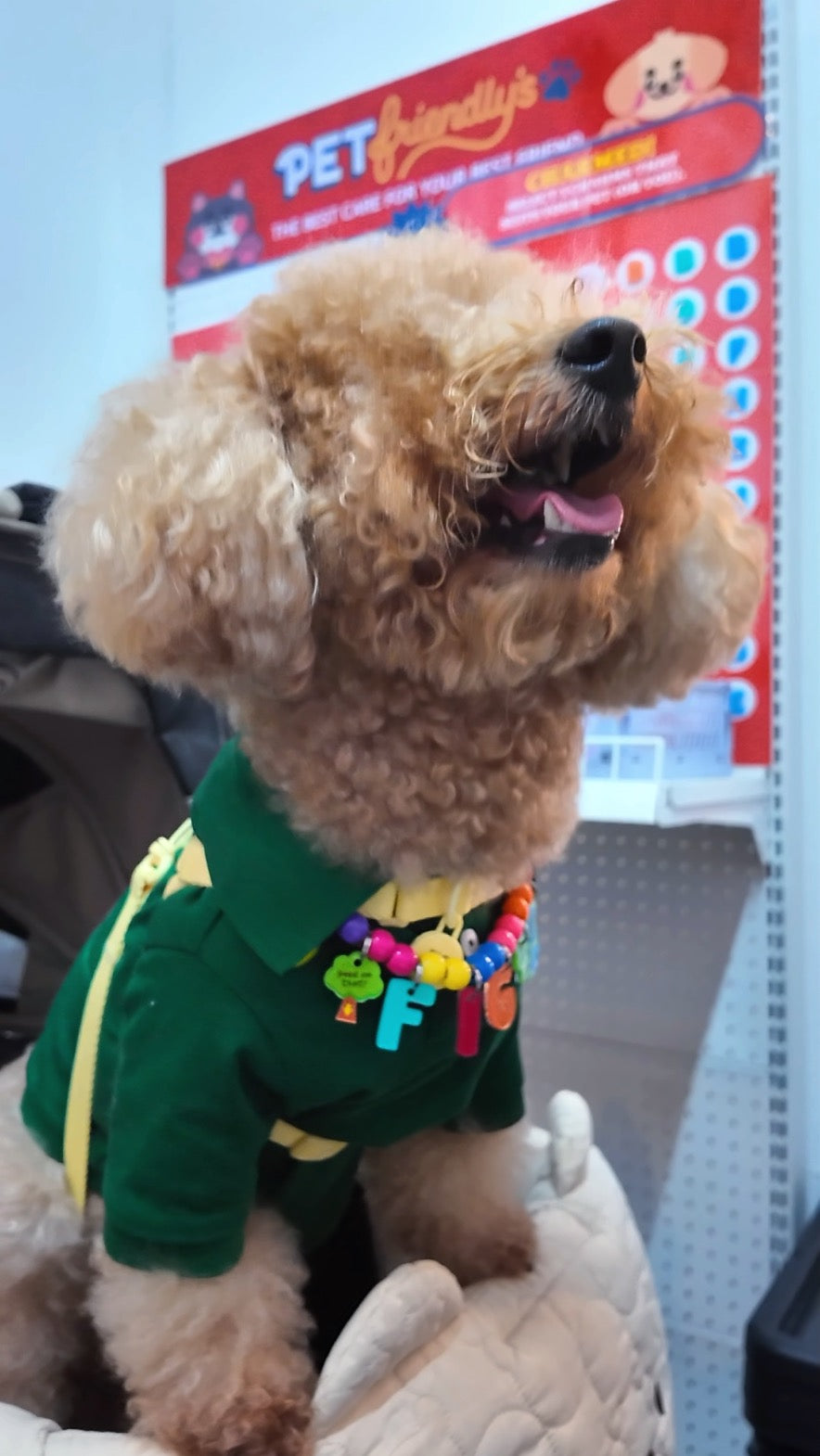 Customizable Pet Necklace