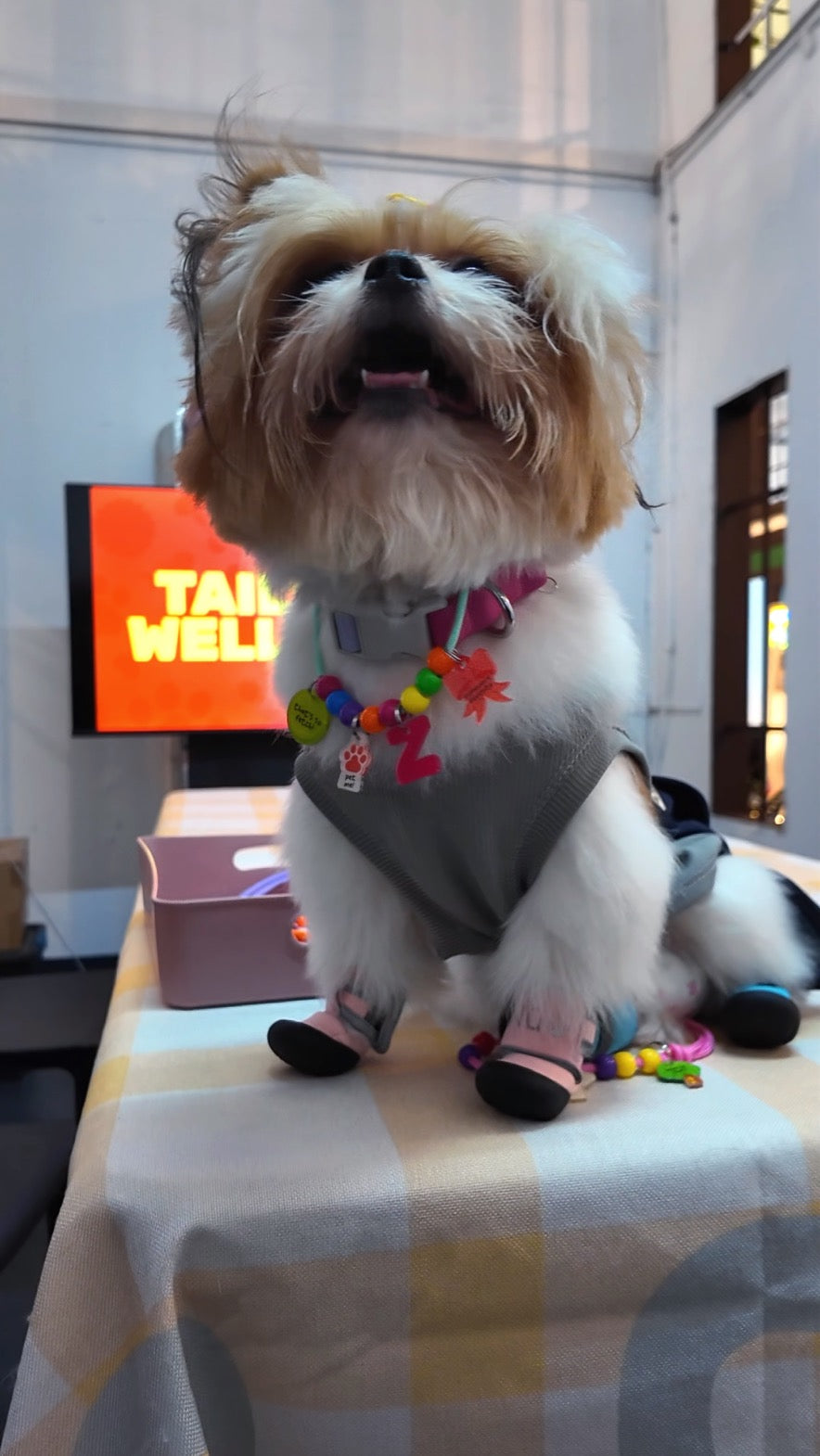 Customizable Pet Necklace