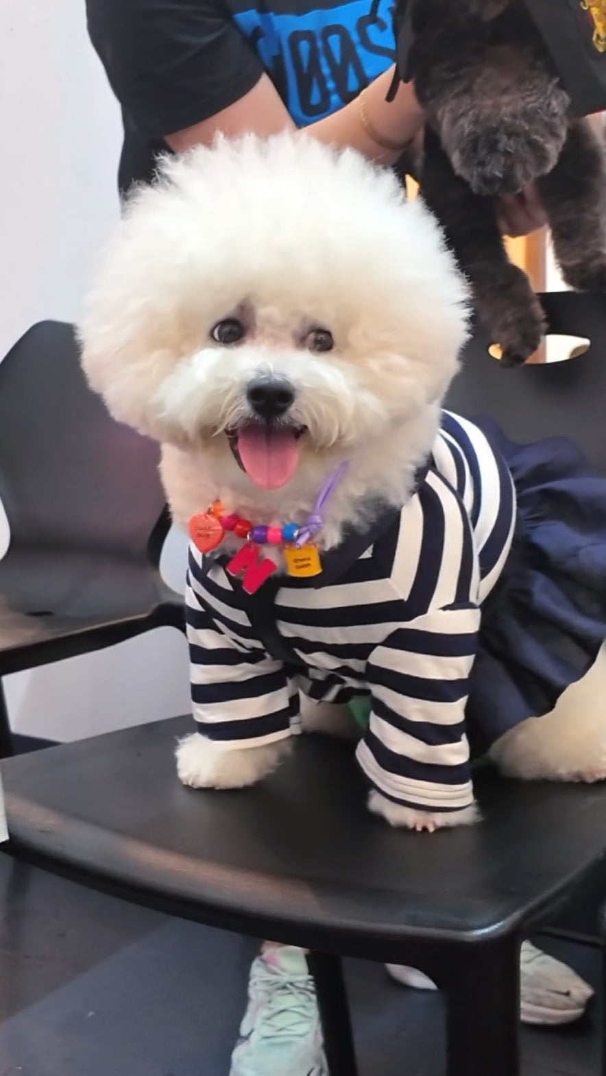 Customizable Pet Necklace