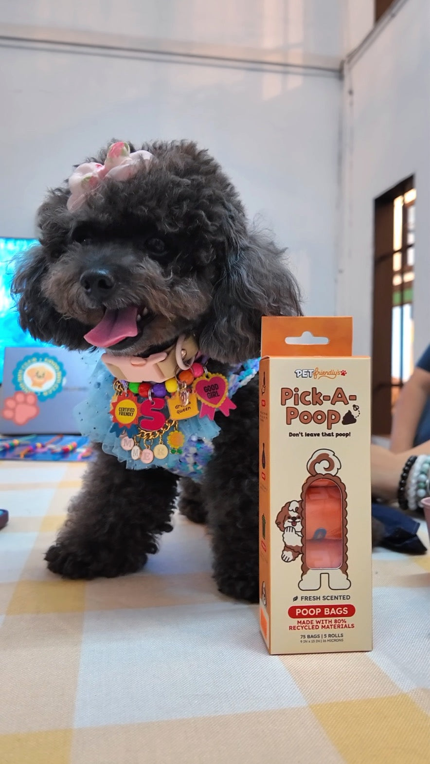 Customizable Pet Necklace