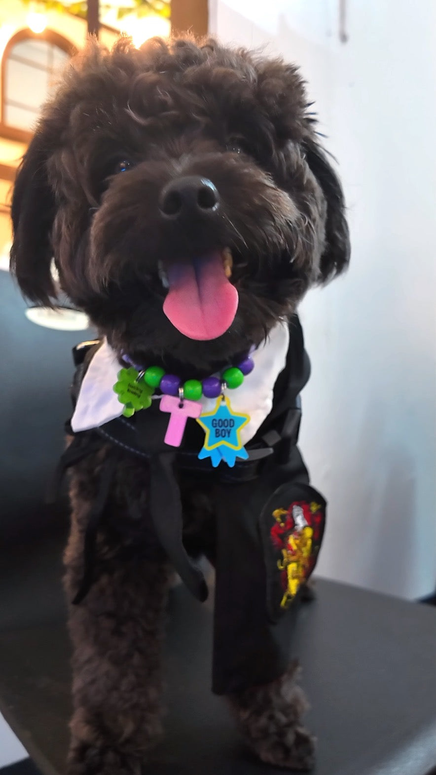 Customizable Pet Necklace