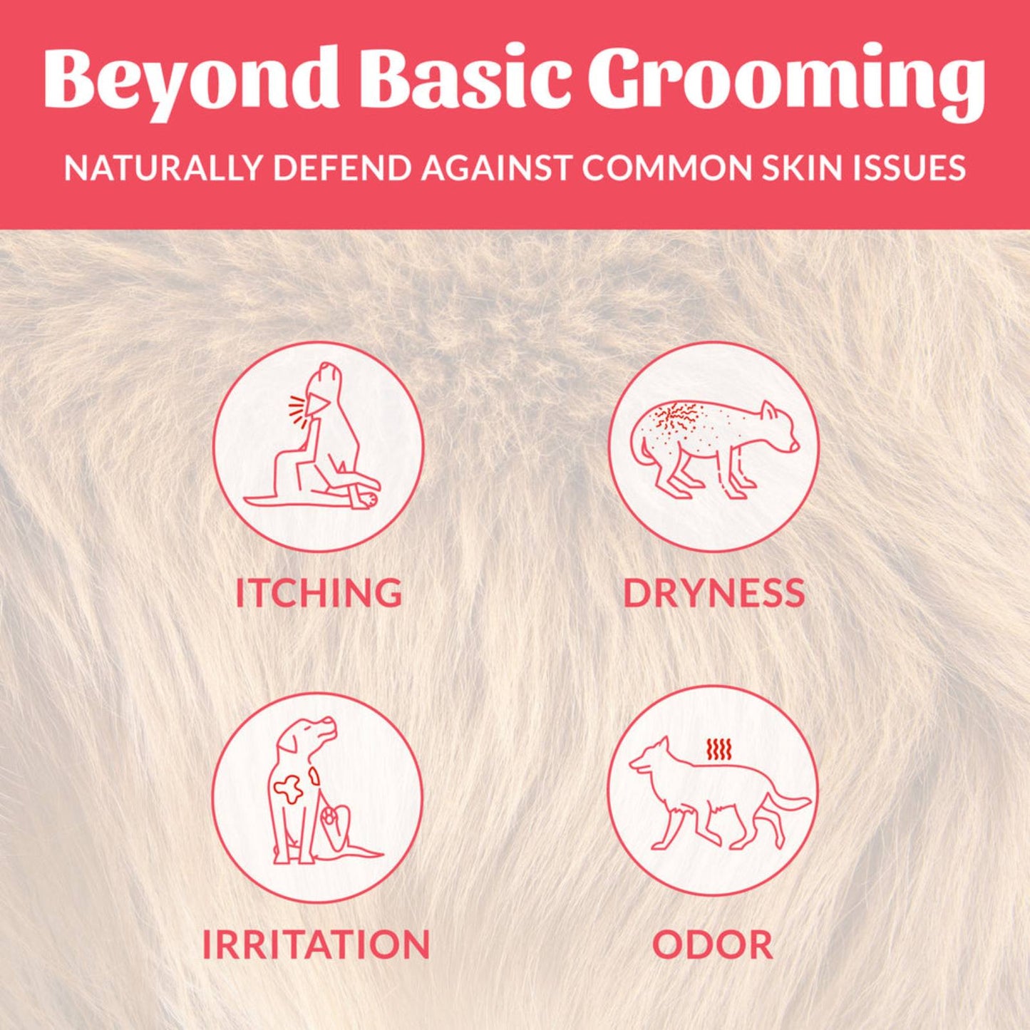 Skout's Honor Probiotic Shampoo and Conditioner Sunkissed Coconut